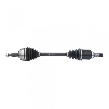 Planetara Stg. Adt.013