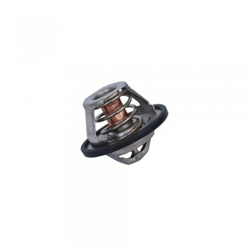 Termostat Lichid Racire 105581