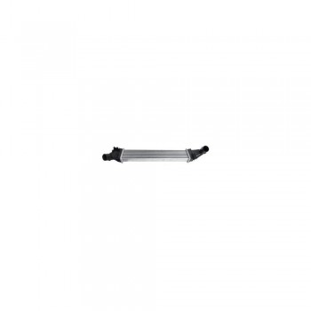 Radiator Intercooler (Scurt) 6001548727
