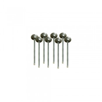 Set Supape Admisie 30471