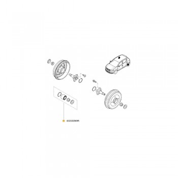 Kit Rulment Roata Spate 432102069R