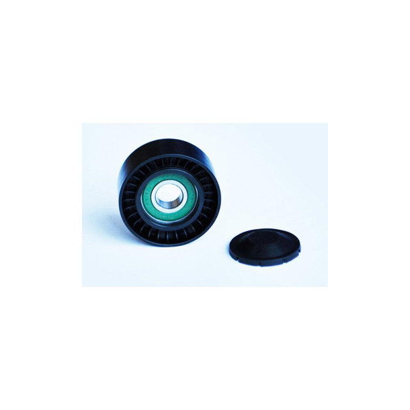 Rola Intinzatoare Transmisie 55596