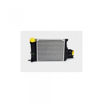 Radiator Intercooler Th.03.022