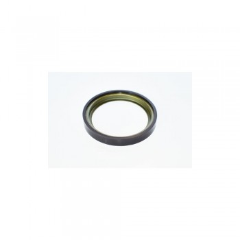 Inel Abs Tambur Frana (48 Perechi De Poli) 74785