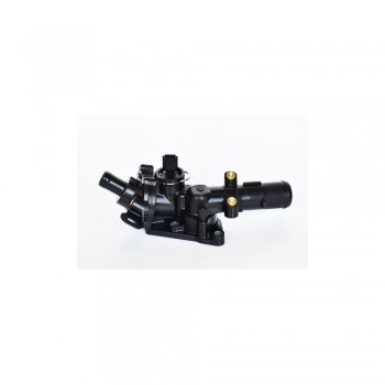 Termostat Lichid Racire 75201