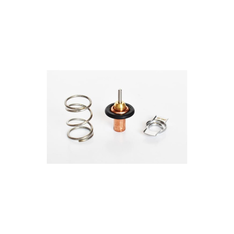 Termostat Lichid Racire 75202