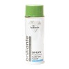 Vopsea Spray Verde Reseda (Ral 6011) 400 Ml Brilliante