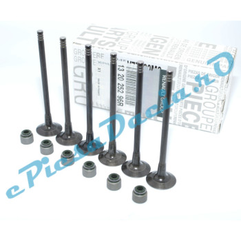 Set Supape Admisie 132017322R