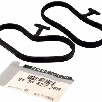 Set Garnituri Racitor Ulei 213042726R